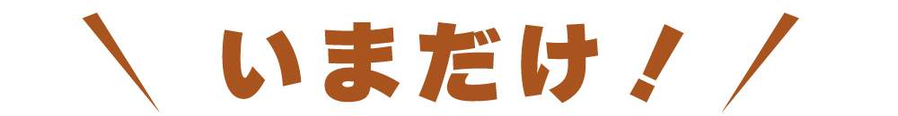 ziguri　しまんと地栗　須木栗　和水栗　高知　四万十　宮崎　熊本　国産栗　和栗　マロン　スイーツ　モンブラン　ケーキ　栗つつみ　栗大福　和菓子　栗きんとん　お取り寄せ　ギフト　プレゼント　贈りもの　包装　ラッピング　のし