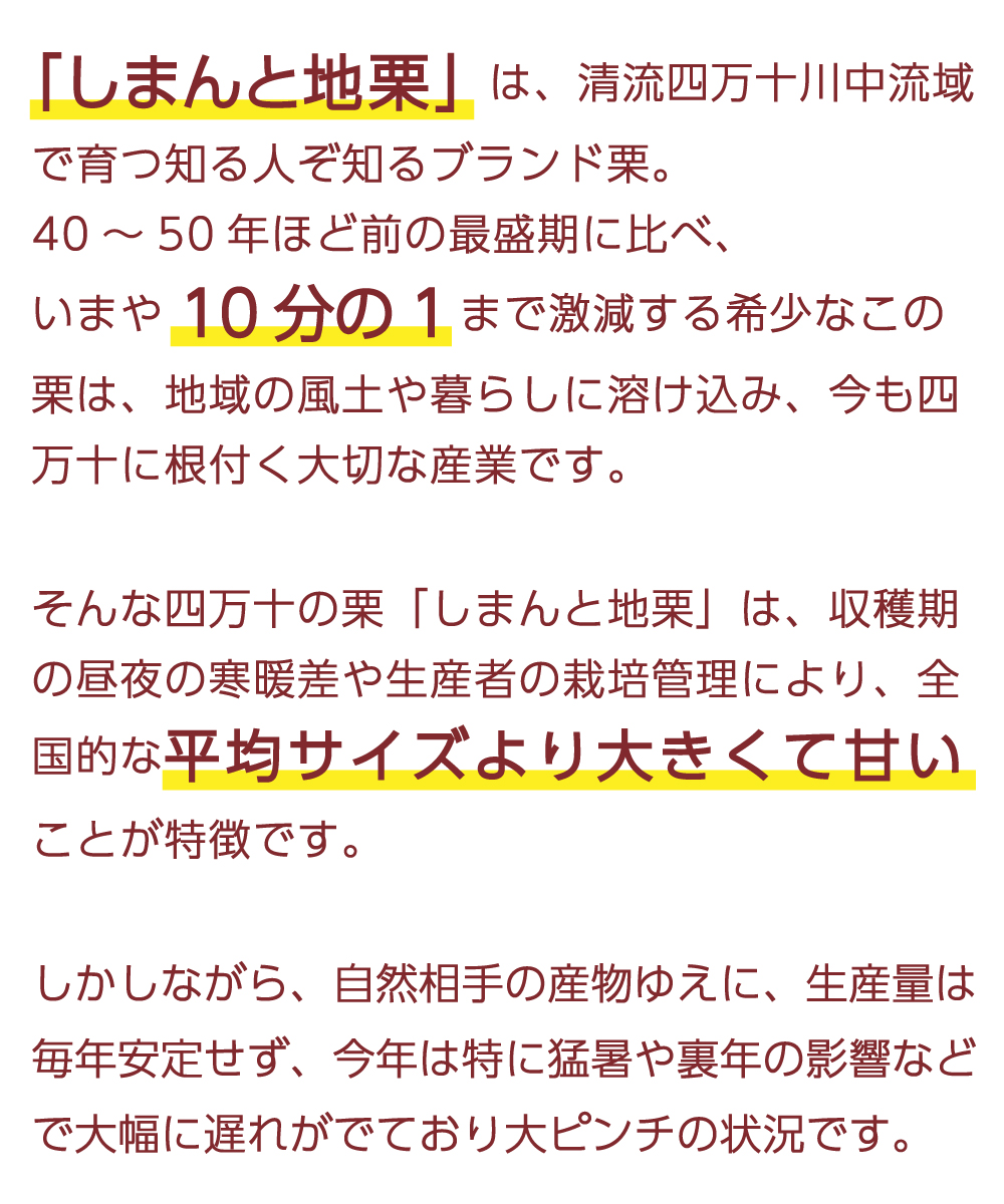 ziguri　しまんと地栗　須木栗　和水栗　高知　四万十　宮崎　熊本　国産栗　和栗　マロン　スイーツ　モンブラン　ケーキ　栗つつみ　栗大福　和菓子　栗きんとん　お取り寄せ　ギフト　プレゼント　贈りもの　包装　ラッピング　のし