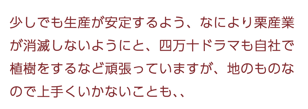 ziguri　しまんと地栗　須木栗　和水栗　高知　四万十　宮崎　熊本　国産栗　和栗　マロン　スイーツ　モンブラン　ケーキ　栗つつみ　栗大福　和菓子　栗きんとん　お取り寄せ　ギフト　プレゼント　贈りもの　包装　ラッピング　のし