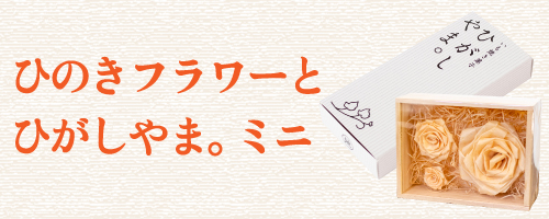 敬老の日 ギフト 贈りもの しまんと地栗 和栗 栗スイーツ 芋スイーツ ケーキ ひがしやま 人参芋 スイートポテト 干し芋 焼き菓子 詰め合わせ 白砂糖不使用 添加物不使用 四万十川 高知県 四万十 ひのき ウッドフラワー