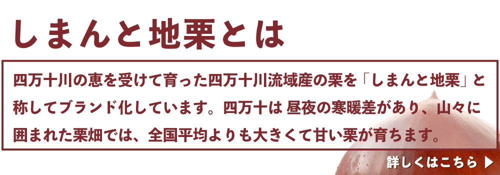 しまんと地栗　新栗　秋　旬　ギフト　贈りもの　和栗　焼き菓子　モンブラン　栗スイーツ　ケーキ　クッキー　詰め合わせ　ギフト券　白砂糖不使用　添加物不使用　四万十川　高知　四万十　ラッピング　包装　のし　熨斗　予約