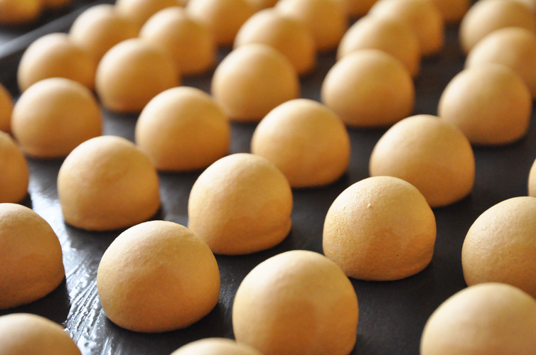 しまんと地栗まん 10個 通販サイト Shimanto Ziguriストア