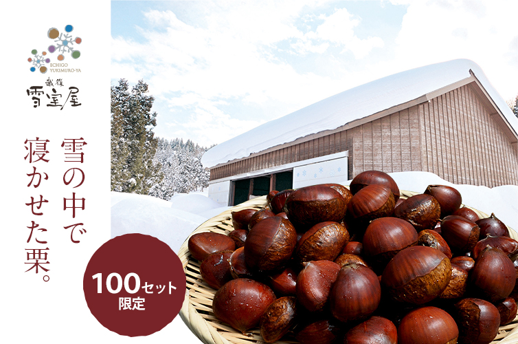 雪室栗 しまんと地栗 和栗 国産栗 皮つき栗