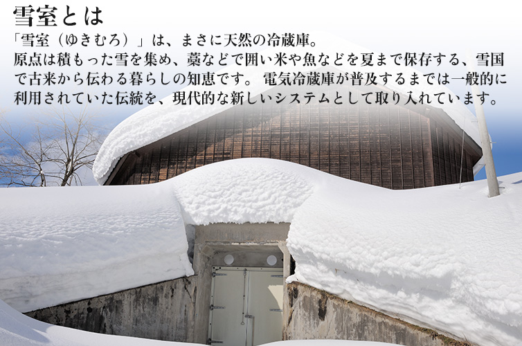 雪室栗 しまんと地栗 和栗 国産栗 皮つき栗