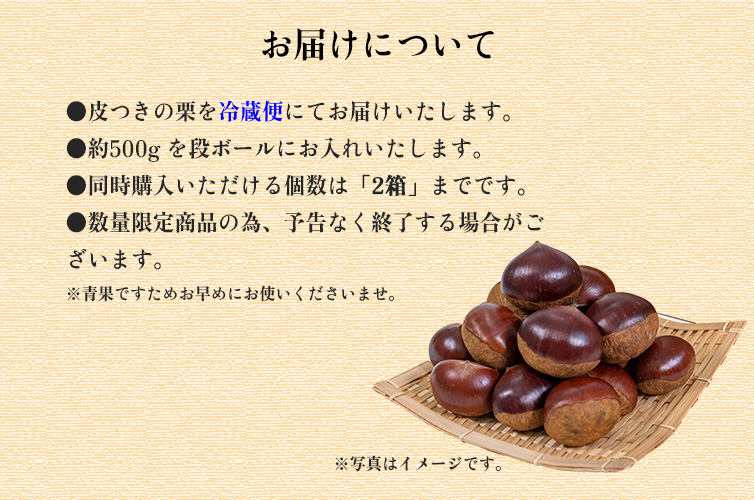 雪室栗 しまんと地栗 和栗 国産栗 皮つき栗