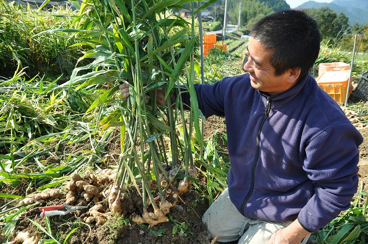 農薬も化学肥料も使わずに野菜をつくる桐島畑
