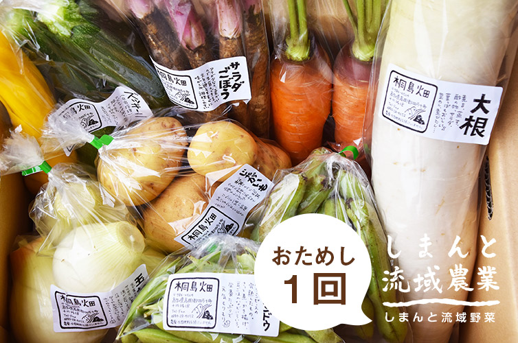 しまんとの季節野菜【冷蔵】 通販サイト SHIMANTO ZIGURIストア