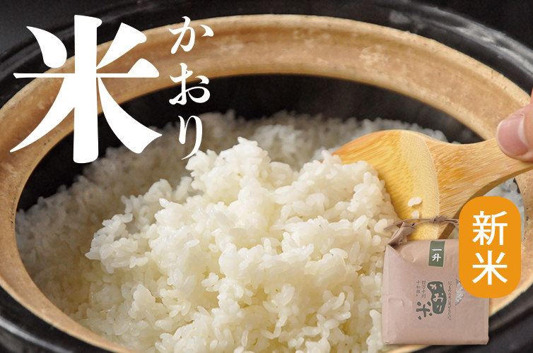 22年産 新米 かおり米 1升 1 5kg 通販サイト Shimanto Ziguriストア