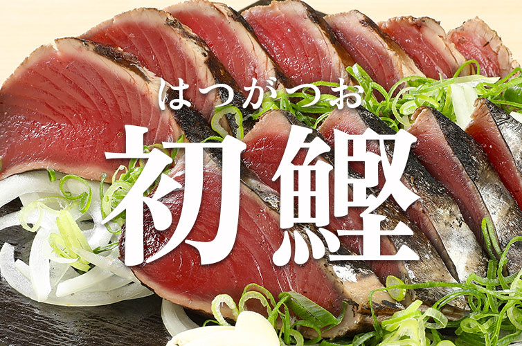 ギフト 藁焼きタタキ カツオのタタキ 高知 塩タタキ 贈り物 gift 新鮮 鰹 冷凍