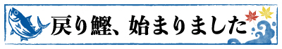 鰹　藁焼きタタキ　戻り鰹　秋　旬　ごちそう　地魚　産地直送　ギフト　贈りもの　高知　四万十