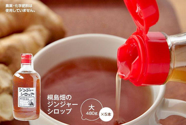 614 ジンジャーシロップ 生姜シロップ 6本おまとめ（濃厚