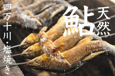 四万十川の天然鮎の塩焼き　レンジでチン　簡単調理