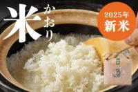 お米 米 1升 かおり米 十和錦 四万十 しまんと 