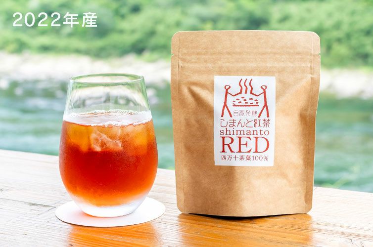 しまんと紅茶 和紅茶 国産紅茶 お茶 四万十 アイスティー