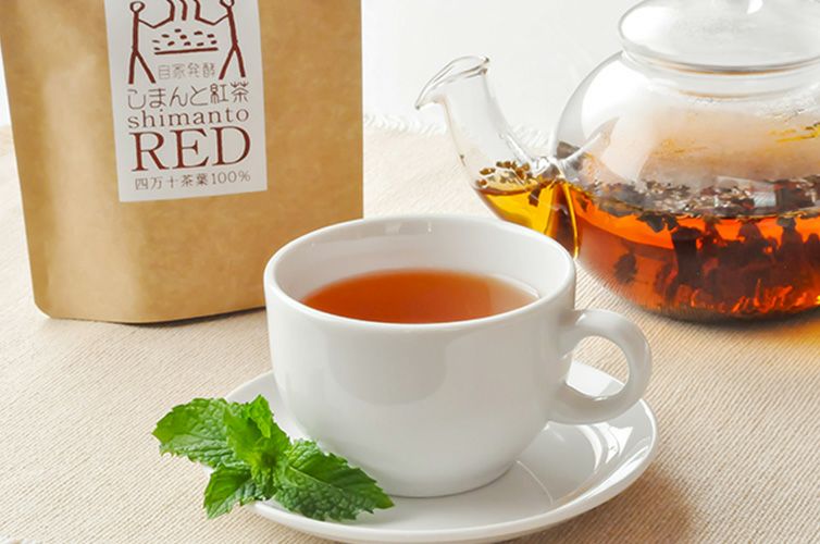 しまんと紅茶 和紅茶 国産紅茶 お茶 四万十 アイスティー