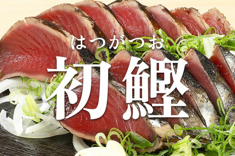 一本釣り 藁焼きタタキ 鰹のたたき カツオのタタキ 鰹 藁焼き 冷凍 高知 初鰹 戻り鰹 新鮮