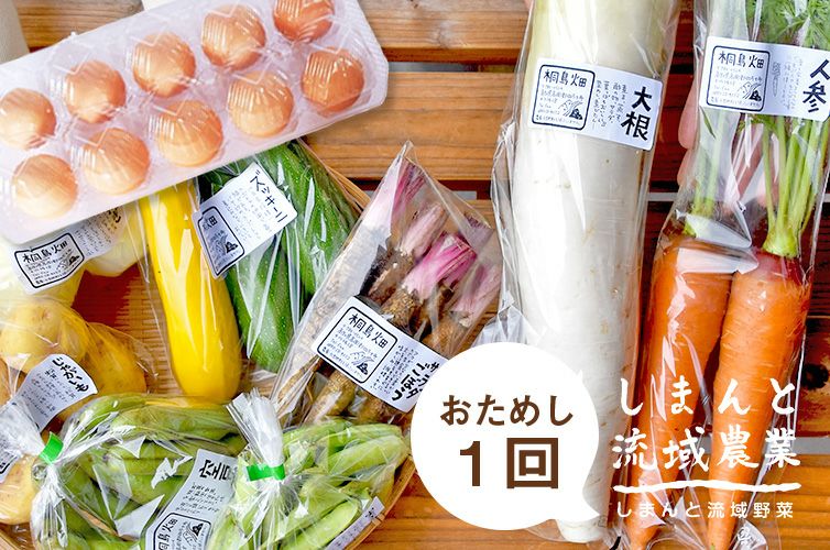 朝採れ！ 冬 野菜 果物 の詰め合わせとでかたまご18個 野菜セット #w