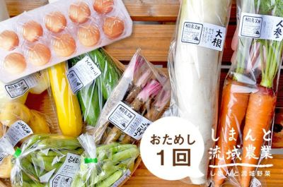 予約／新栗】キントン紅白(4個)【11月下旬発送予定】 | 通販