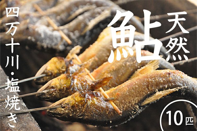 天然鮎 四万十鮎 鮎 手焼き 鮎の塩焼き 