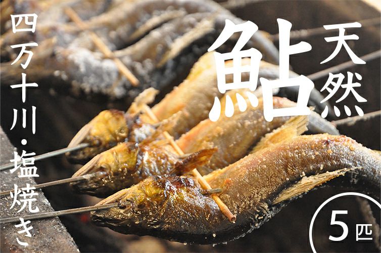 天然鮎 四万十鮎 鮎 手焼き 鮎の塩焼き 