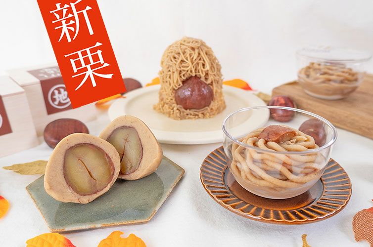 地栗づくしBOX アソート 食べ比べ しまんと地栗