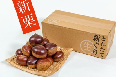 和栗 | 通販サイト SHIMANTO ZIGURIストア【公式】