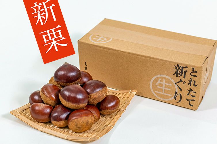 しまんと地栗 シマントジグリ 和栗 四万十 国産 生栗 